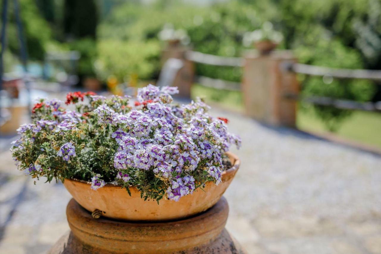 Villa Loghino Volterra Buitenkant foto